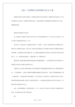 2024年暑期社会调查报告范文6