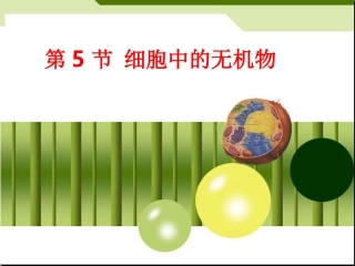 第5节细胞中的无机物