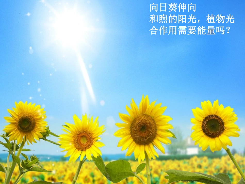 第1节生命活动的直接能源_第2页
