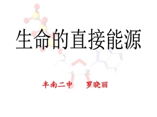 第1节生命活动的直接能源