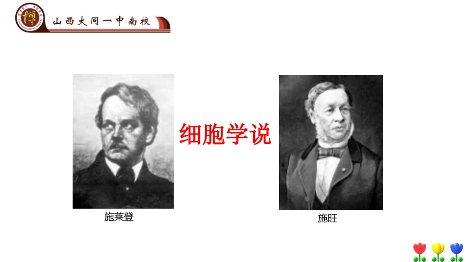 科学家的故事-施莱登、施旺与细胞学说_第2页