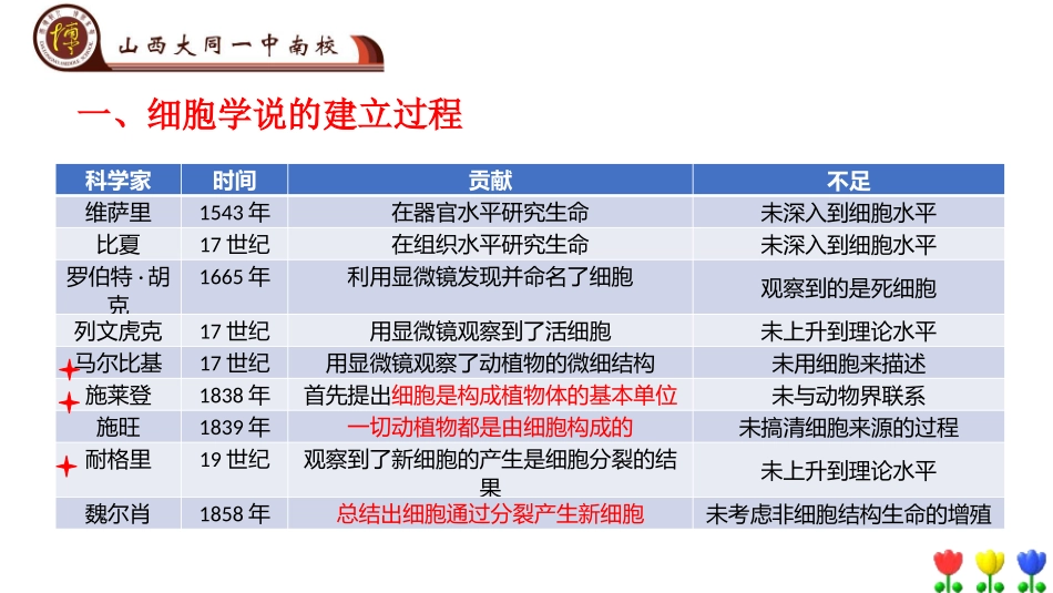 科学家的故事-施莱登、施旺与细胞学说_第3页