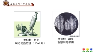 科学家的故事-施莱登、施旺与细胞学说