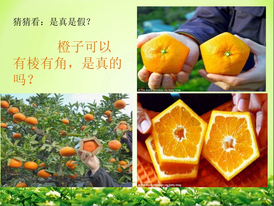 3.角的度量与表示_第2页