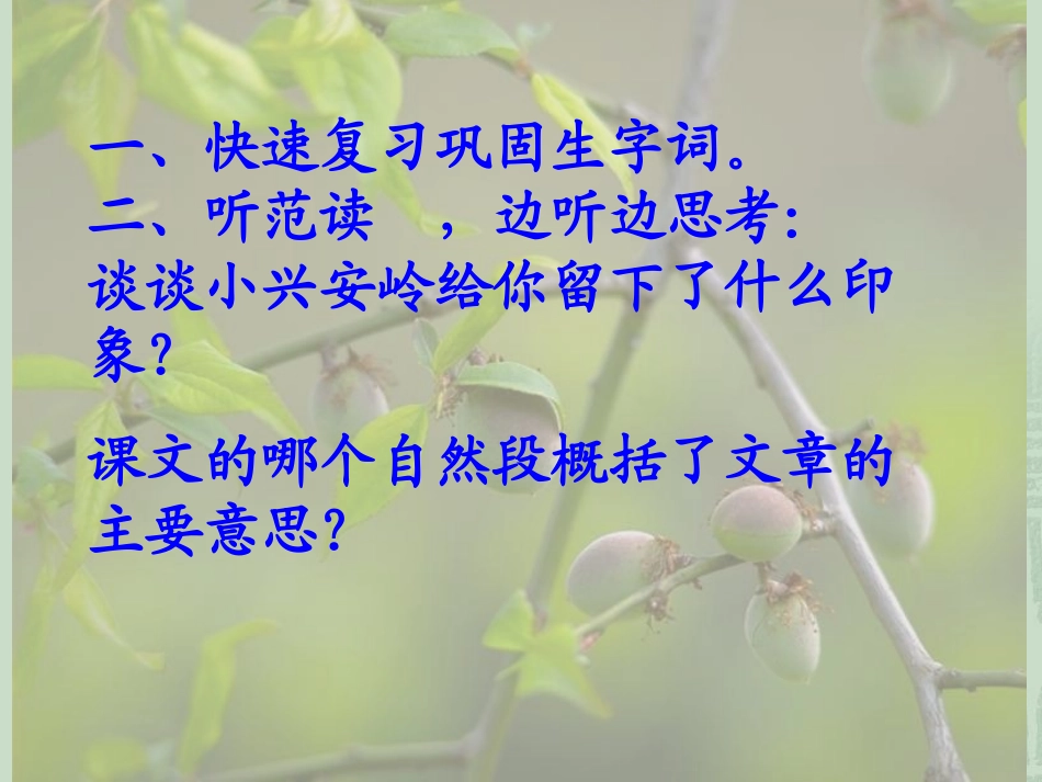 美丽的小兴安岭PPT(1)(1)_第3页