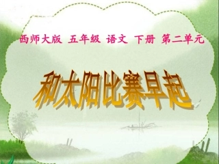 8和太阳比赛早起