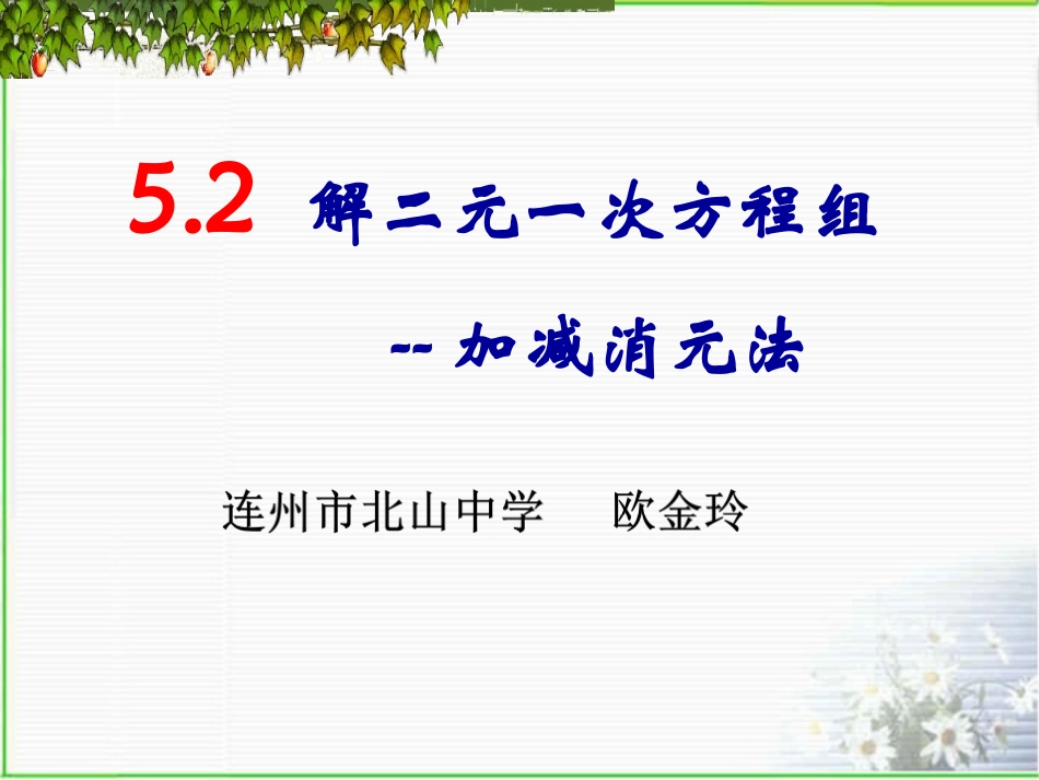 加减法解二元一次方程组-(2)_第1页