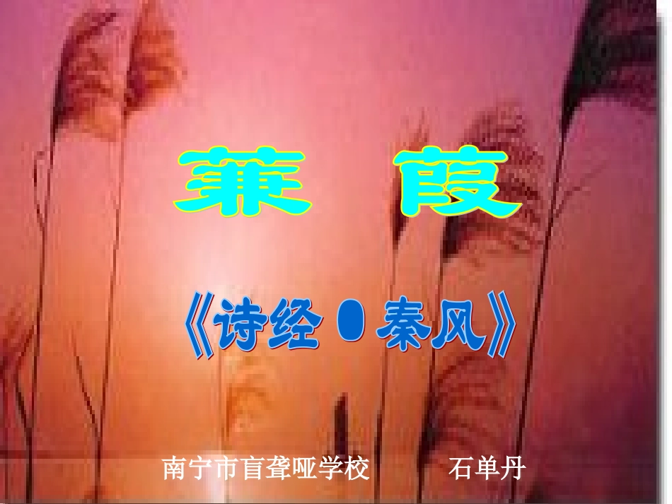 石单丹《蒹葭》课件_第1页