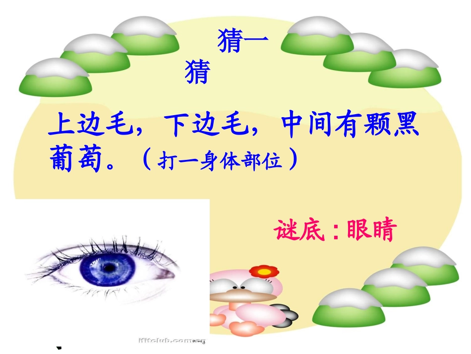 第1课体育与健康基础知识：身体各部位名称_第1页