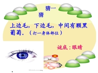 第1课体育与健康基础知识：身体各部位名称