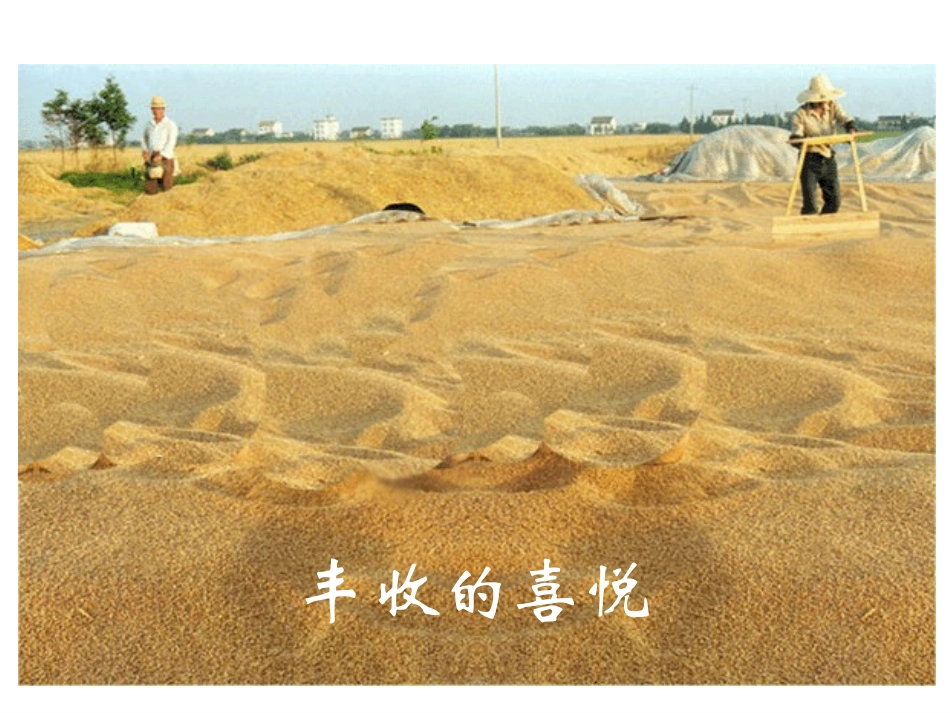 圆锥的认识-(2)_第3页