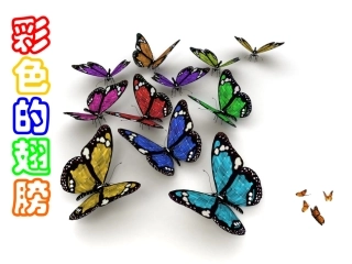 彩色的翅膀1