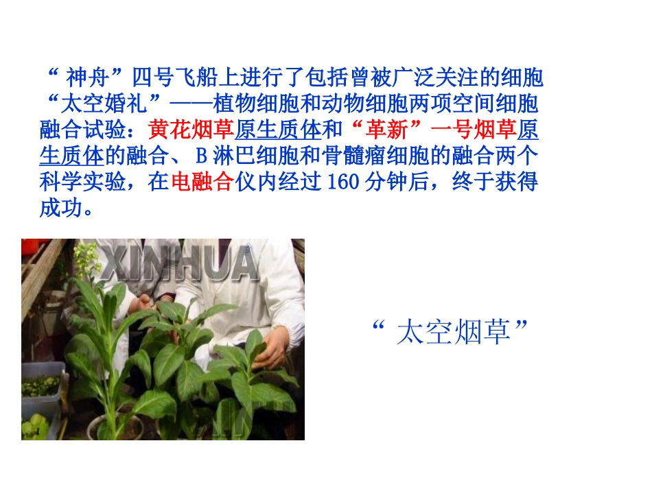 细胞工程的基本技术_第3页