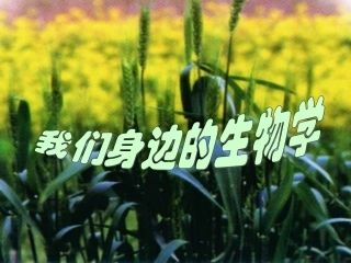 第三节我们身边的生物学-(4)