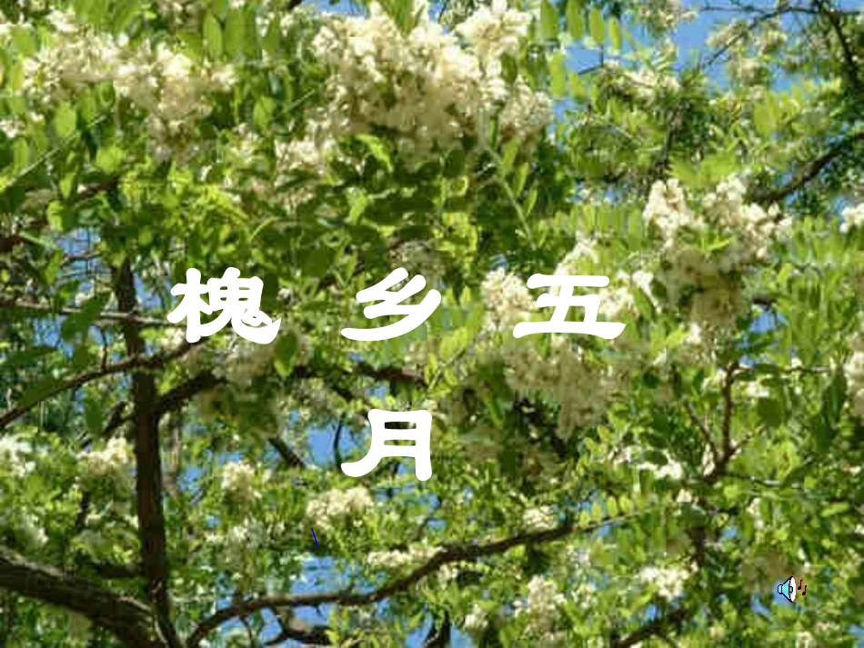 槐乡五月-(2)_第1页