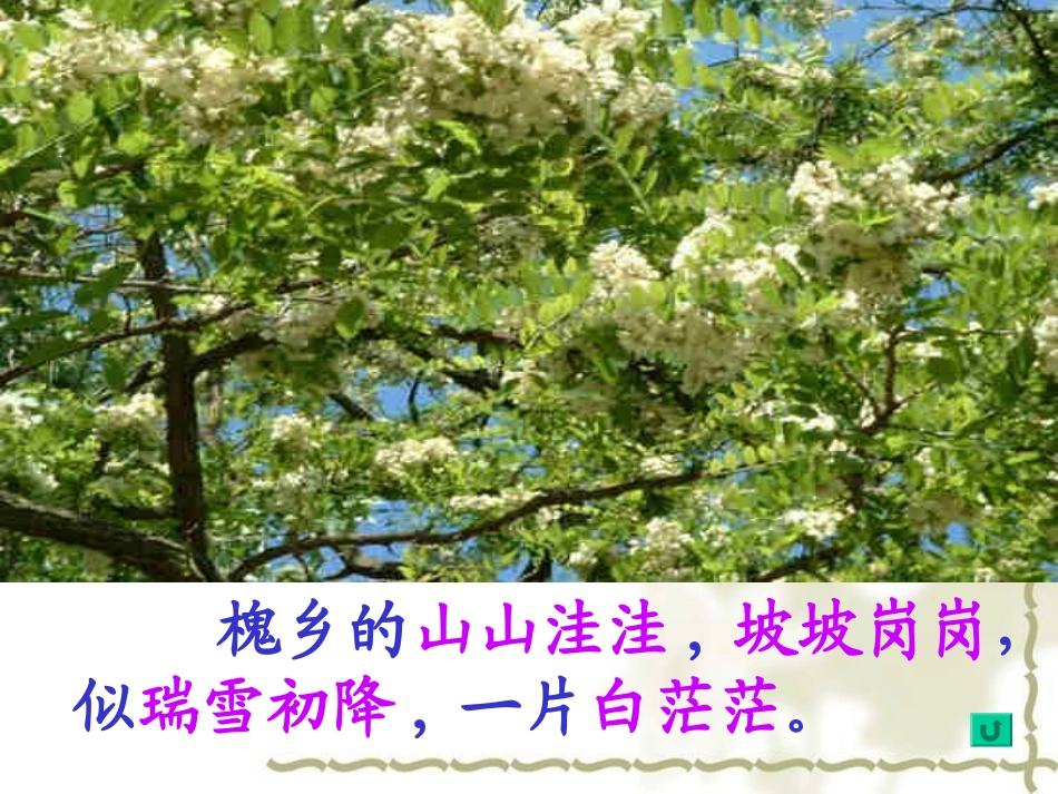 槐乡五月-(2)_第3页