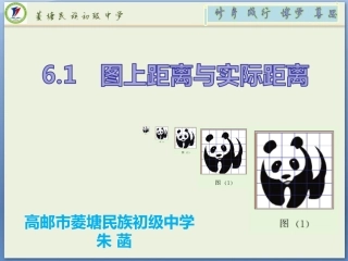6.1图上距离与实际距离