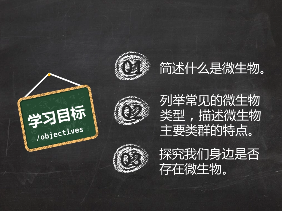 第1节微生物在生物圈中的作用_第3页