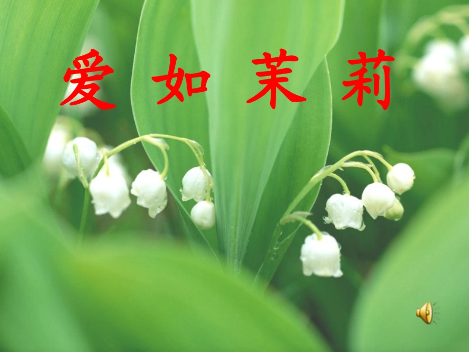 爱如茉莉(1)_第1页
