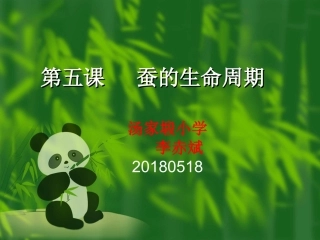 蚕的生命周期