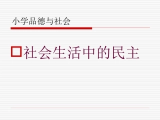 4-社会生活中的民主-(2)