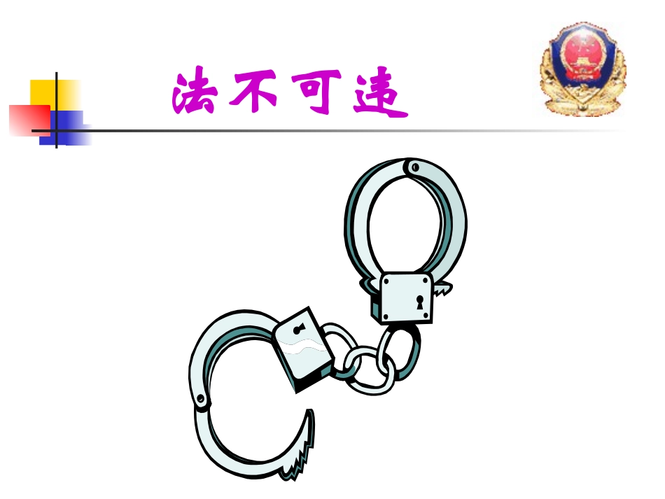 法不可违-(4)_第1页