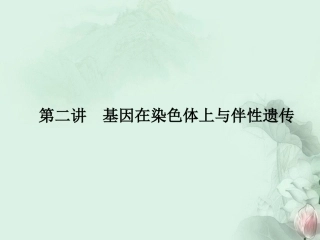 【优化指导】高中生物总复习-第2单元-第2讲基因在染色体上与伴性遗传课件-新人教版必修2