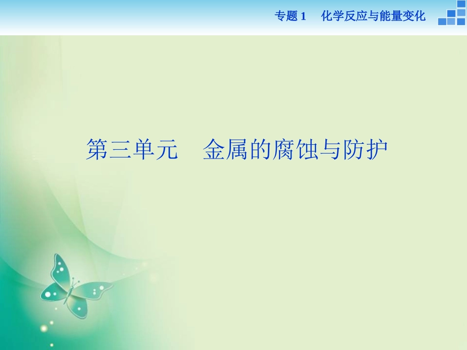 拓展课题1-2菠菜的叶绿体中色素的提取和分离_第1页