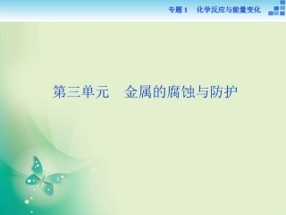 拓展课题1-2菠菜的叶绿体中色素的提取和分离