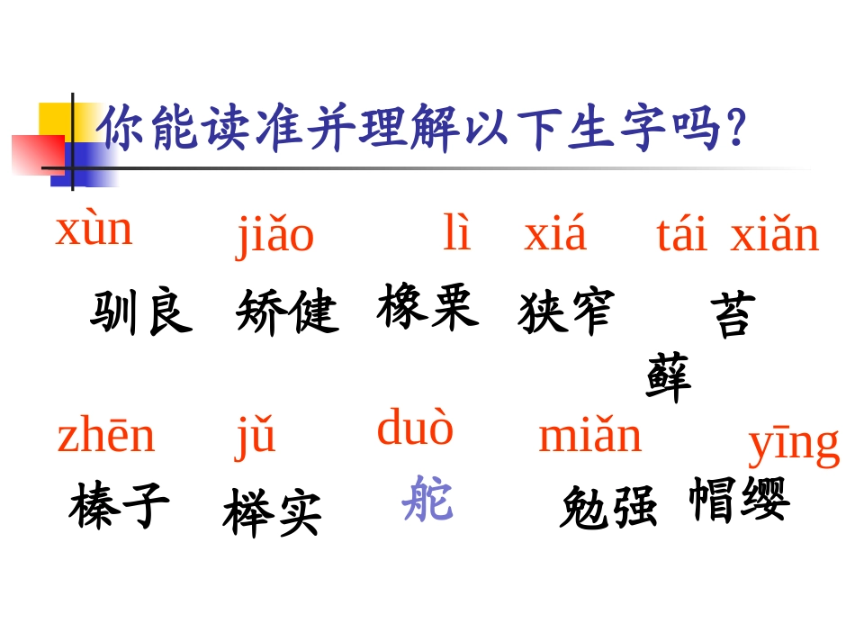 10.《松鼠》_第2页