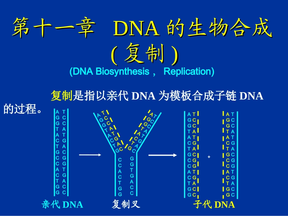 DNA的生物合成-(复制)_第1页