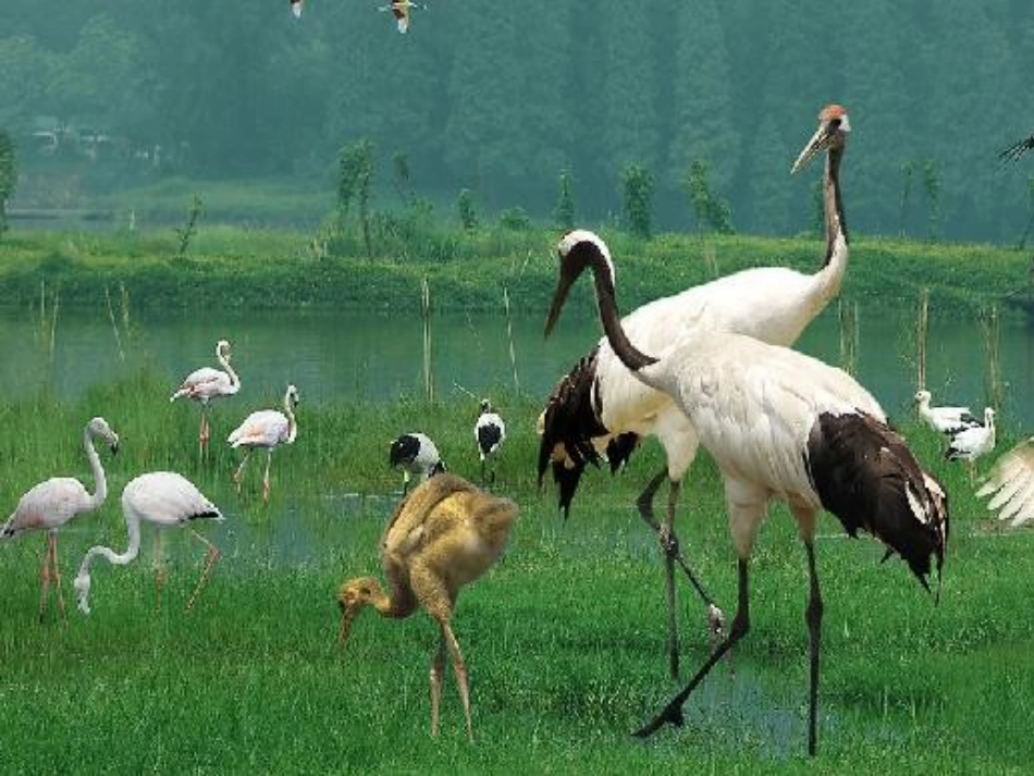 小学数学人教2011课标版一年级加法-(3)_第3页