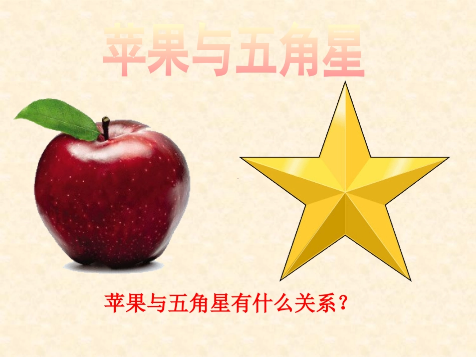 5《苹果里的五角星》PPT课件_第3页
