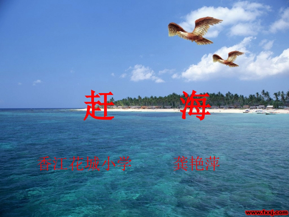 《赶海》ppt课件_第1页