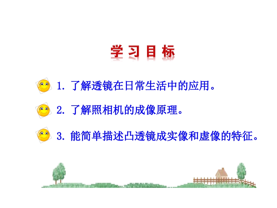 凸透镜的简单应用_第2页