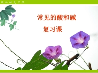 课题1-常见的酸和碱-(3)