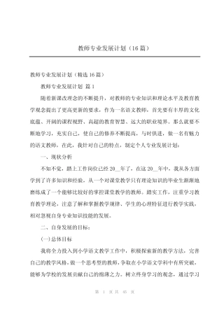 2024年教师专业发展计划(16) 