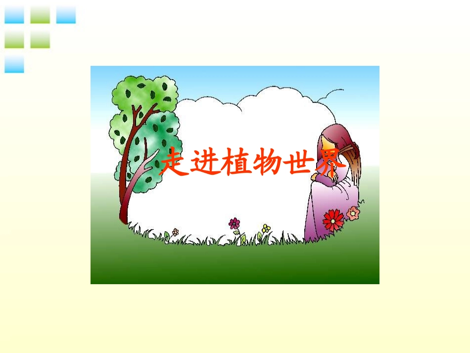 七年级生物下册-奇异的植物世界课件-人教新课标版_第2页