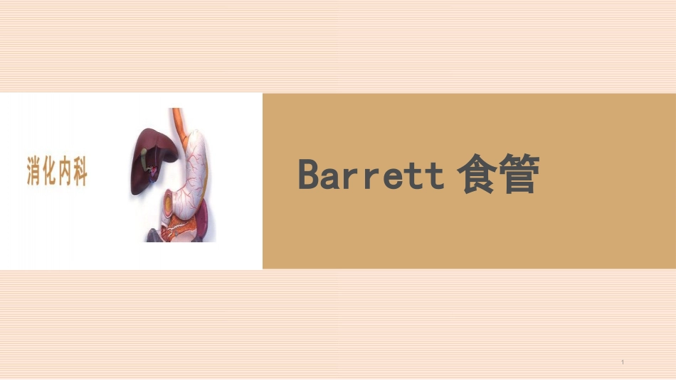 Barrett食管完整课件_第1页