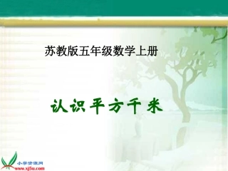 7.认识平方千米