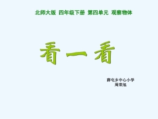 小学数学北师大2011课标版四年级《看一看》课件-(2)