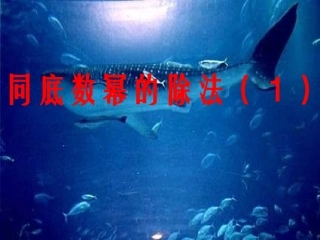 8.3同底数幂的除法