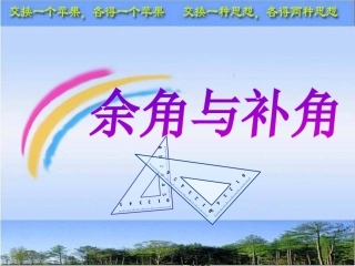 6.3余角、补角、对顶角