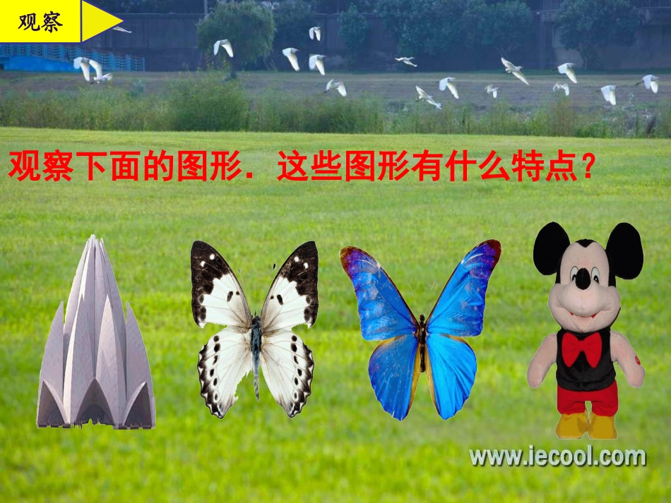 六年级《轴对称图形》._第2页