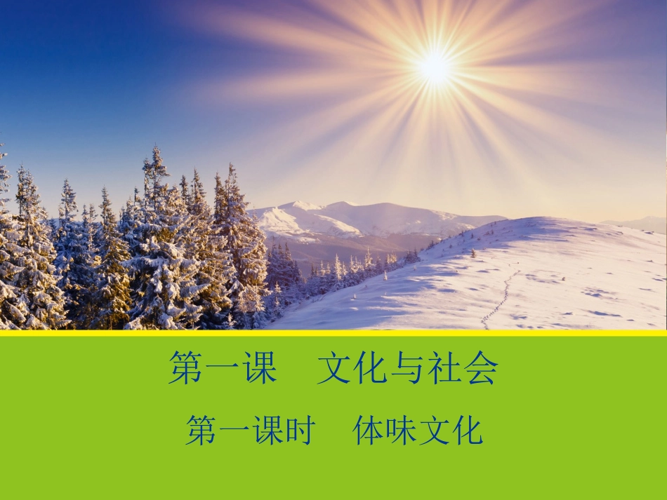 【政治】1.1《体味文化》课件(人教版必修3)_第1页