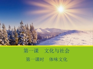【政治】1.1《体味文化》课件(人教版必修3)