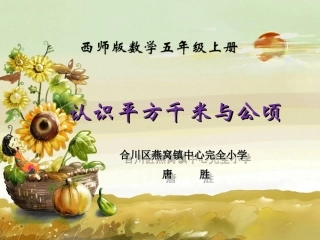 认识平方千米与公顷