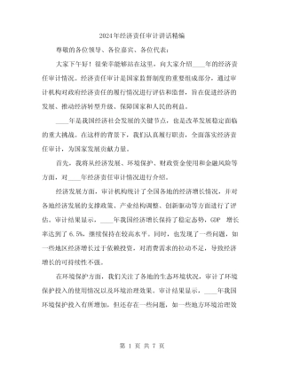 2024年经济责任审计讲话精编(3)