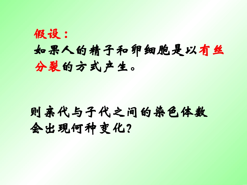 2.1减数分裂和受精作用_第2页