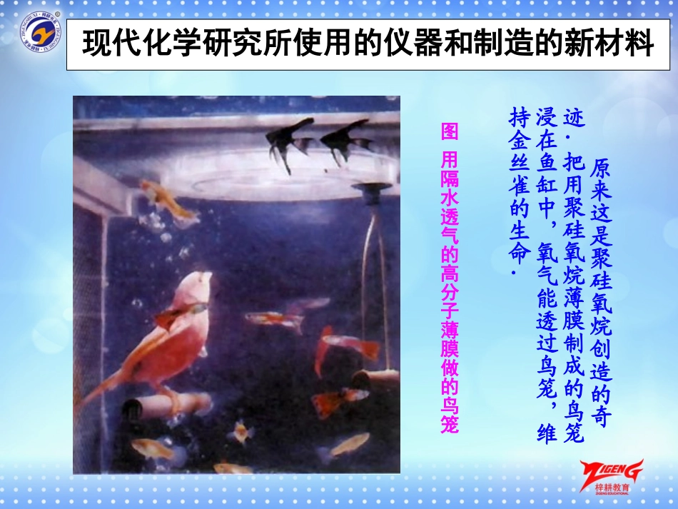 绪言化学使世界变得更加绚丽多彩-(8)_第3页